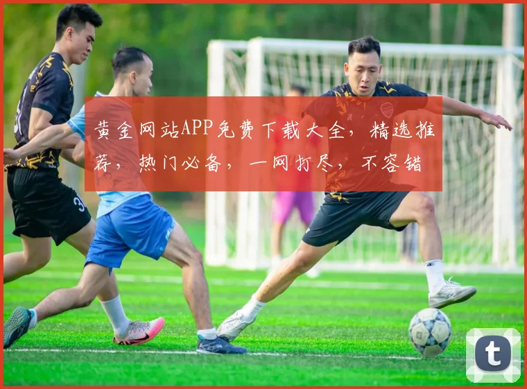 黄金网站APP免费下载大全，精选推荐，热门必备，一网打尽，不容错过，快来下载