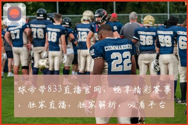 球帝带833直播官网，畅享精彩赛事，独家直播，独家解析，必看平台，不容错过