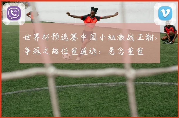 世界杯预选赛中国小组激战正酣，争冠之路任重道远，悬念重重