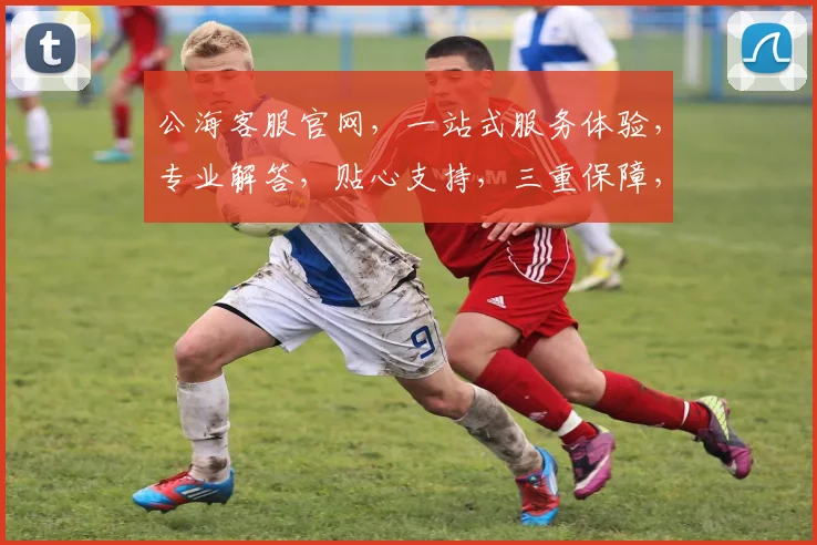 公海客服官网，一站式服务体验，专业解答，贴心支持，三重保障，值得信赖，官网直达