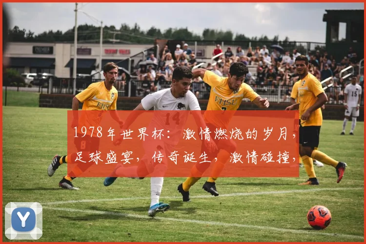 1978年世界杯：激情燃烧的岁月，足球盛宴，传奇诞生，激情碰撞，辉煌瞬间