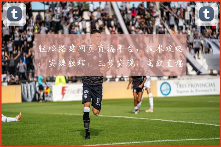 轻松搭建网页直播平台，技术攻略，实操教程，三步实现，高效直播体验，不容错过