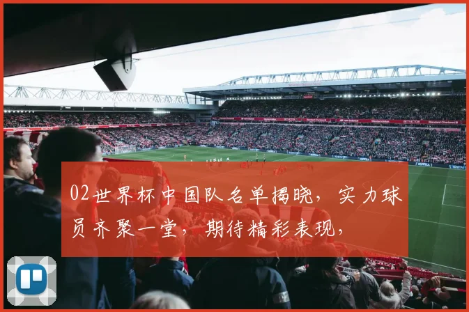 02世界杯中国队名单揭晓，实力球员齐聚一堂，期待精彩表现，