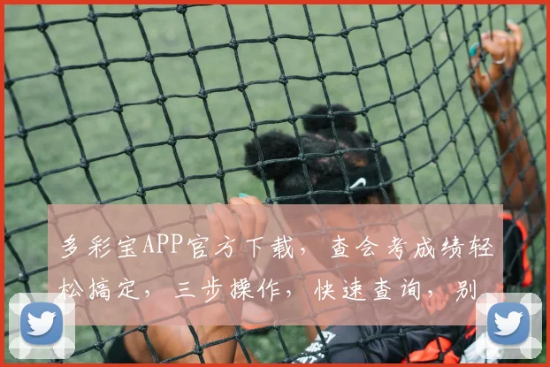 多彩宝APP官方下载，查会考成绩轻松搞定，三步操作，快速查询，别错过